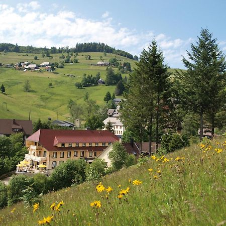 Gruener Baum Naturparkhotel & Schwarzwald-Restaurant تودتناو المظهر الخارجي الصورة