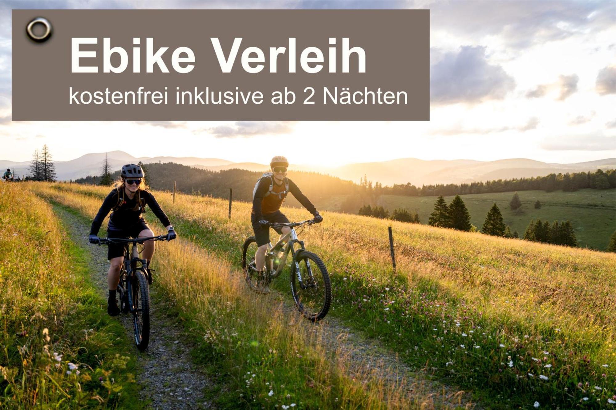 Gruener Baum Naturparkhotel & Schwarzwald-Restaurant تودتناو المظهر الخارجي الصورة