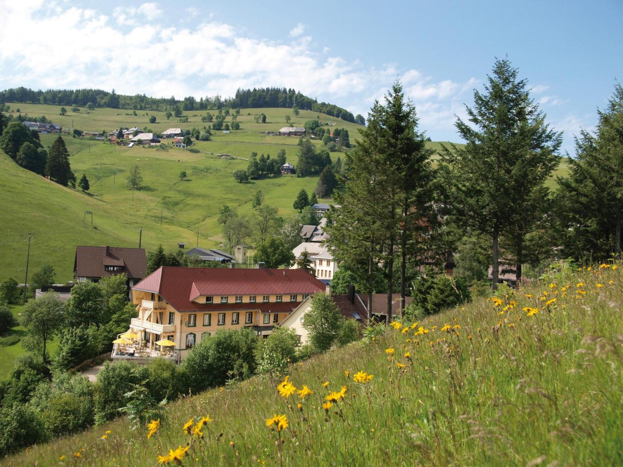 Gruener Baum Naturparkhotel & Schwarzwald-Restaurant تودتناو المظهر الخارجي الصورة