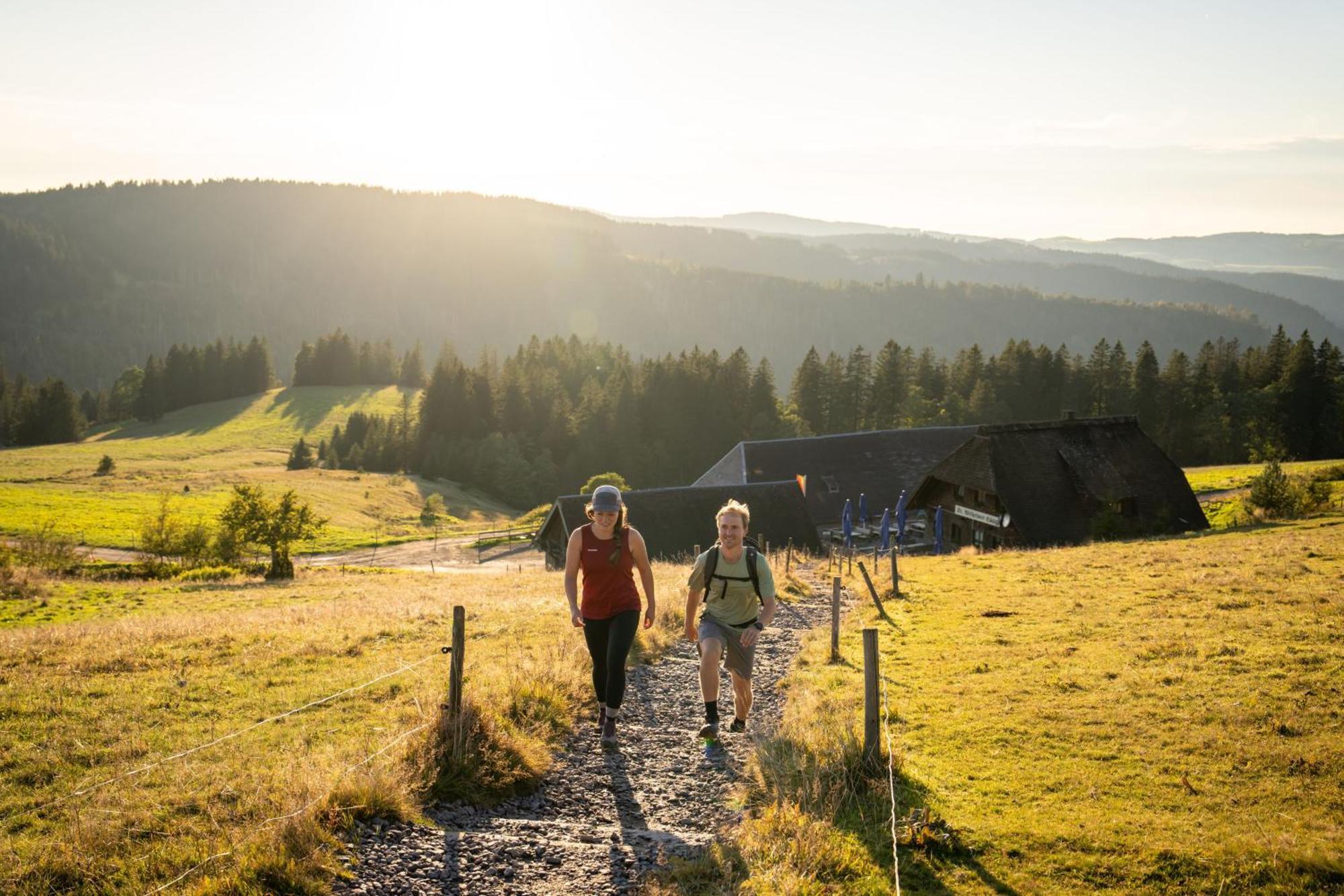 Gruener Baum Naturparkhotel & Schwarzwald-Restaurant تودتناو المظهر الخارجي الصورة