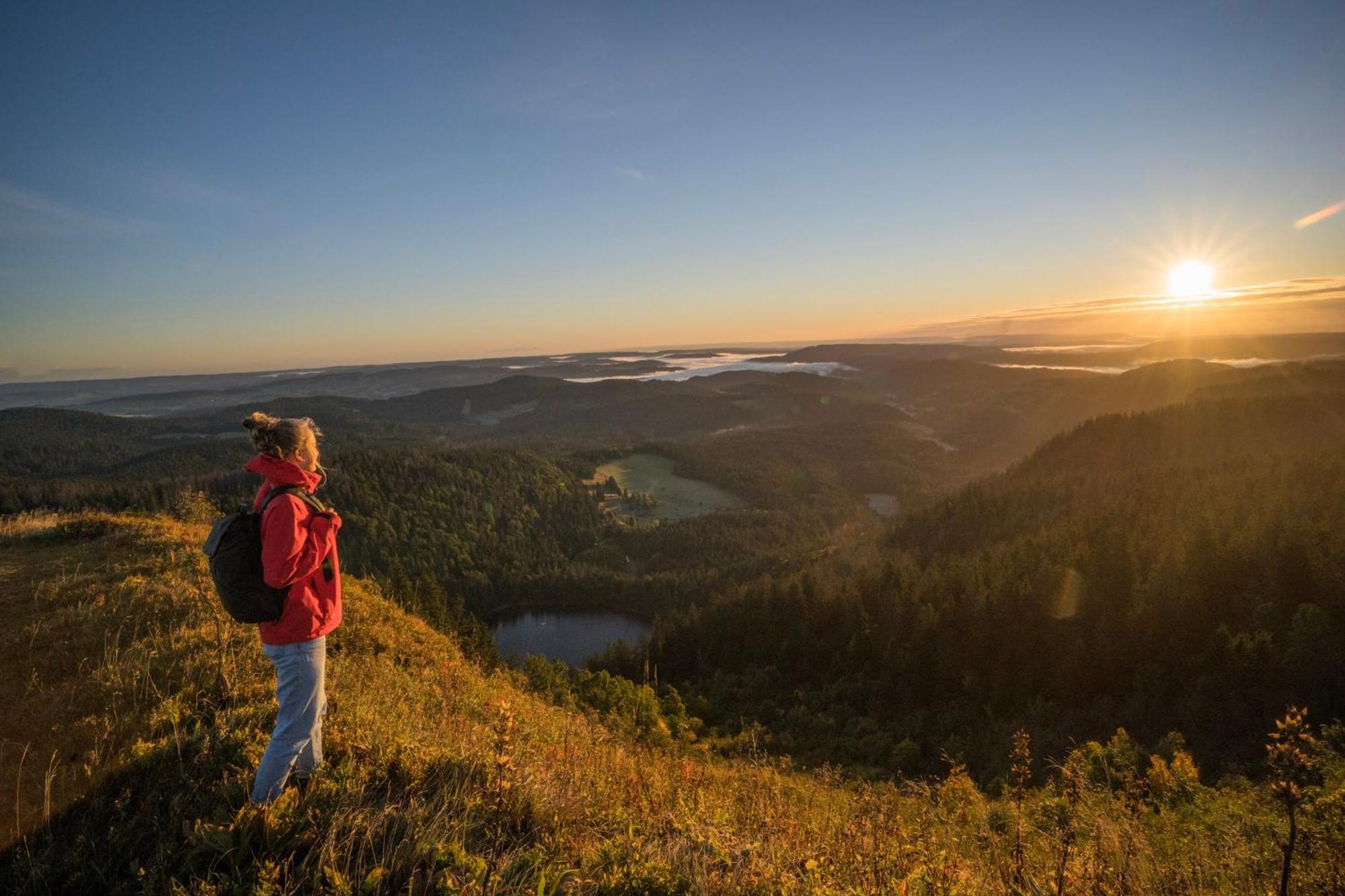 Gruener Baum Naturparkhotel & Schwarzwald-Restaurant تودتناو المظهر الخارجي الصورة