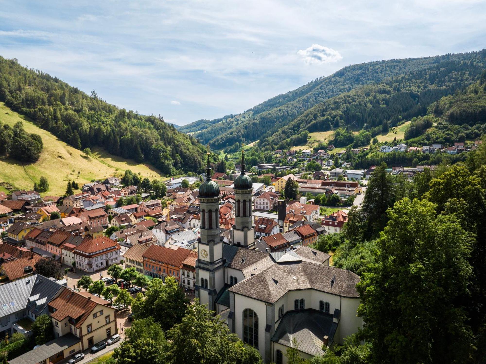 Gruener Baum Naturparkhotel & Schwarzwald-Restaurant تودتناو المظهر الخارجي الصورة