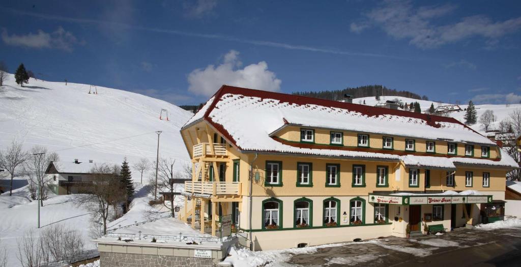 Gruener Baum Naturparkhotel & Schwarzwald-Restaurant تودتناو المظهر الخارجي الصورة