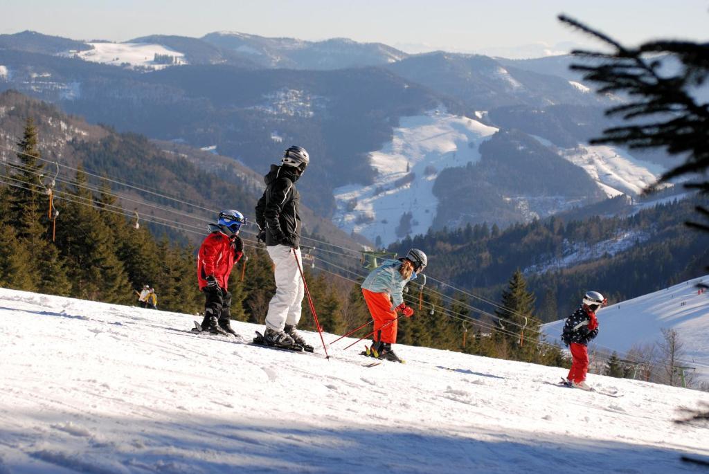 Gruener Baum Naturparkhotel & Schwarzwald-Restaurant تودتناو المظهر الخارجي الصورة