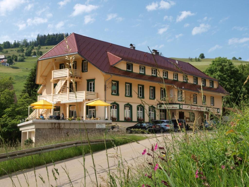 Gruener Baum Naturparkhotel & Schwarzwald-Restaurant تودتناو المظهر الخارجي الصورة