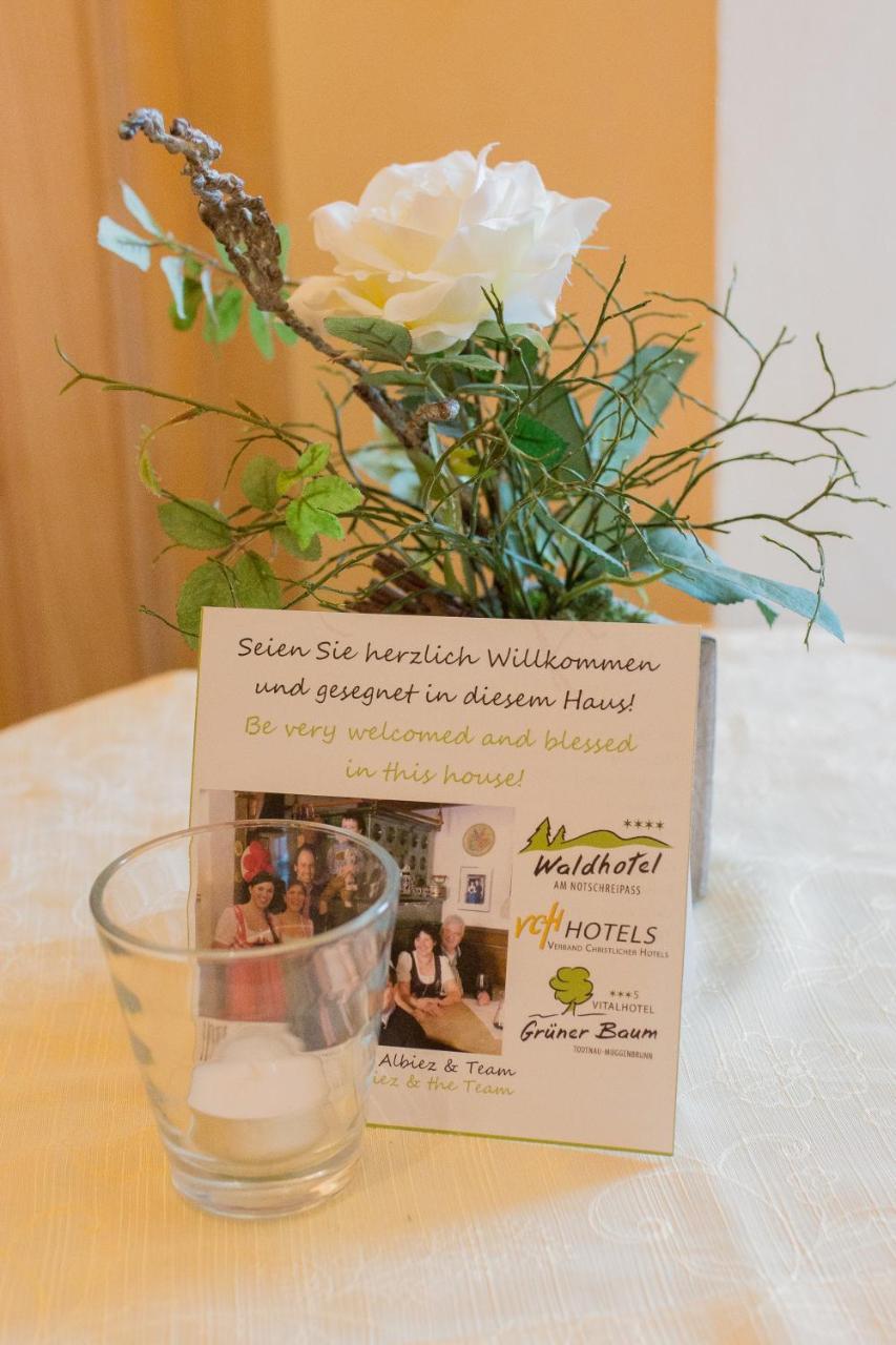 Gruener Baum Naturparkhotel & Schwarzwald-Restaurant تودتناو المظهر الخارجي الصورة